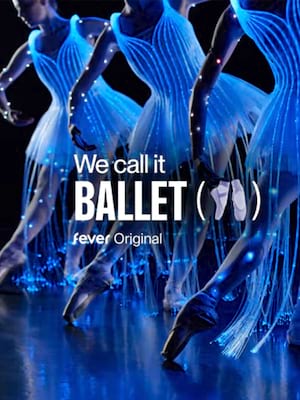 We Call It Ballet: Sleeping Beauty Poster